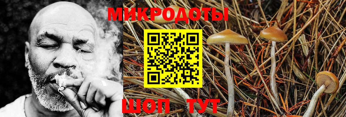 Псилоцибиновые грибы MAGIC MUSHROOMS Елабуга