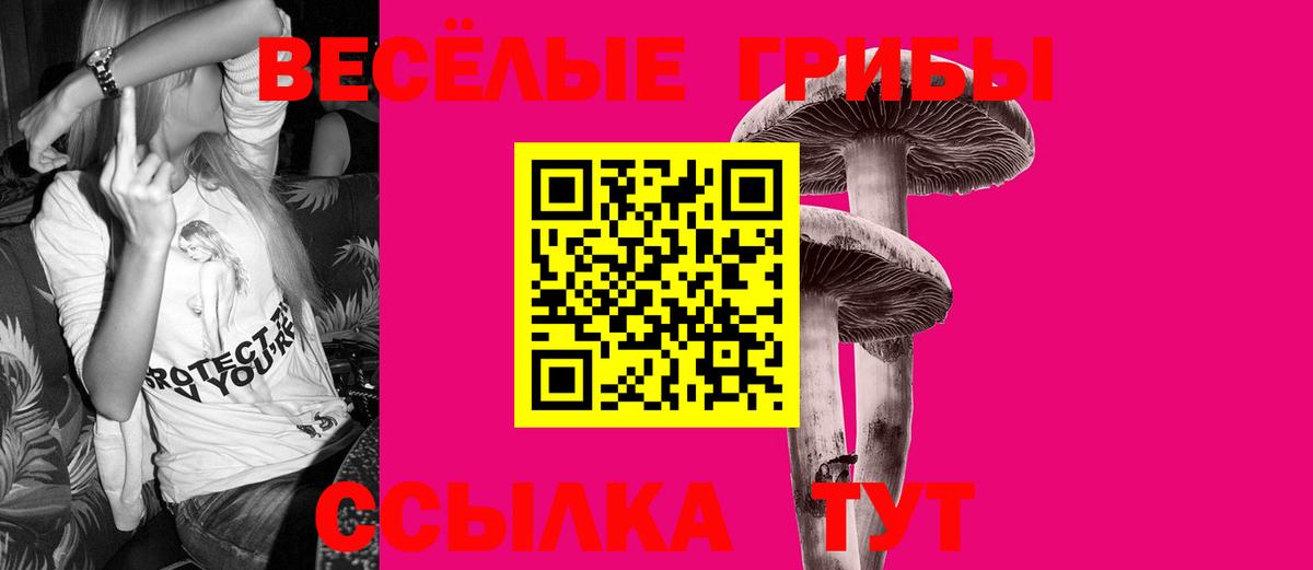 Елабуга  Псилоцибиновые грибы GOLDEN TEACHER  Вход с VPN 