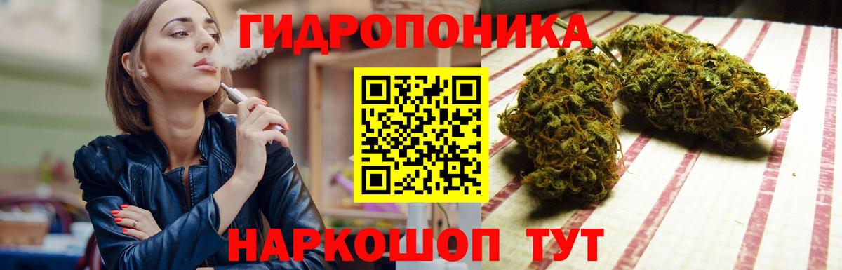 Шишки марихуана сатива Елабуга